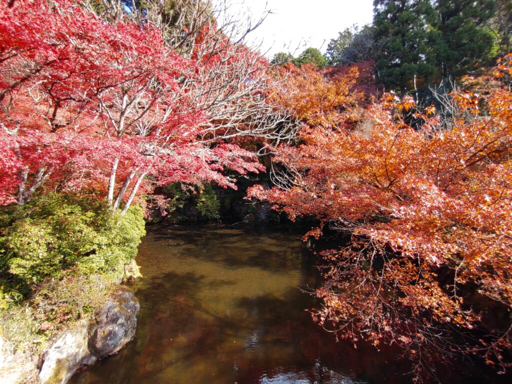 醍醐寺の紅葉